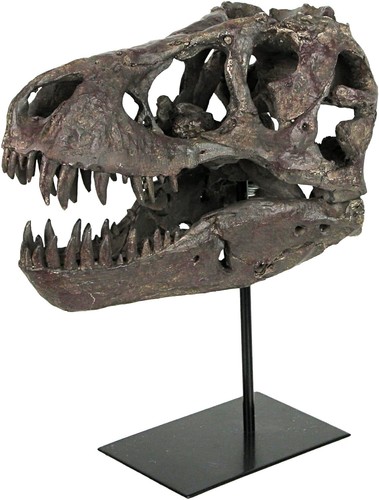 Tyrannosaurus skull replica - tyrannosaurus,