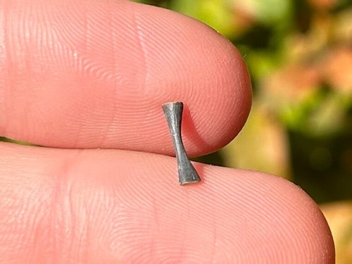 Fossil captorhinus radius - fossil,